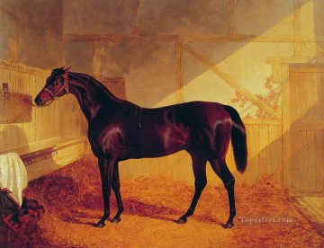 ジョン・フレデリック・ヘリング・シニア Painting - ニシン・シニア・ジョン・フレデリック馬に乗るジョンストンズ・チャールズ12世氏